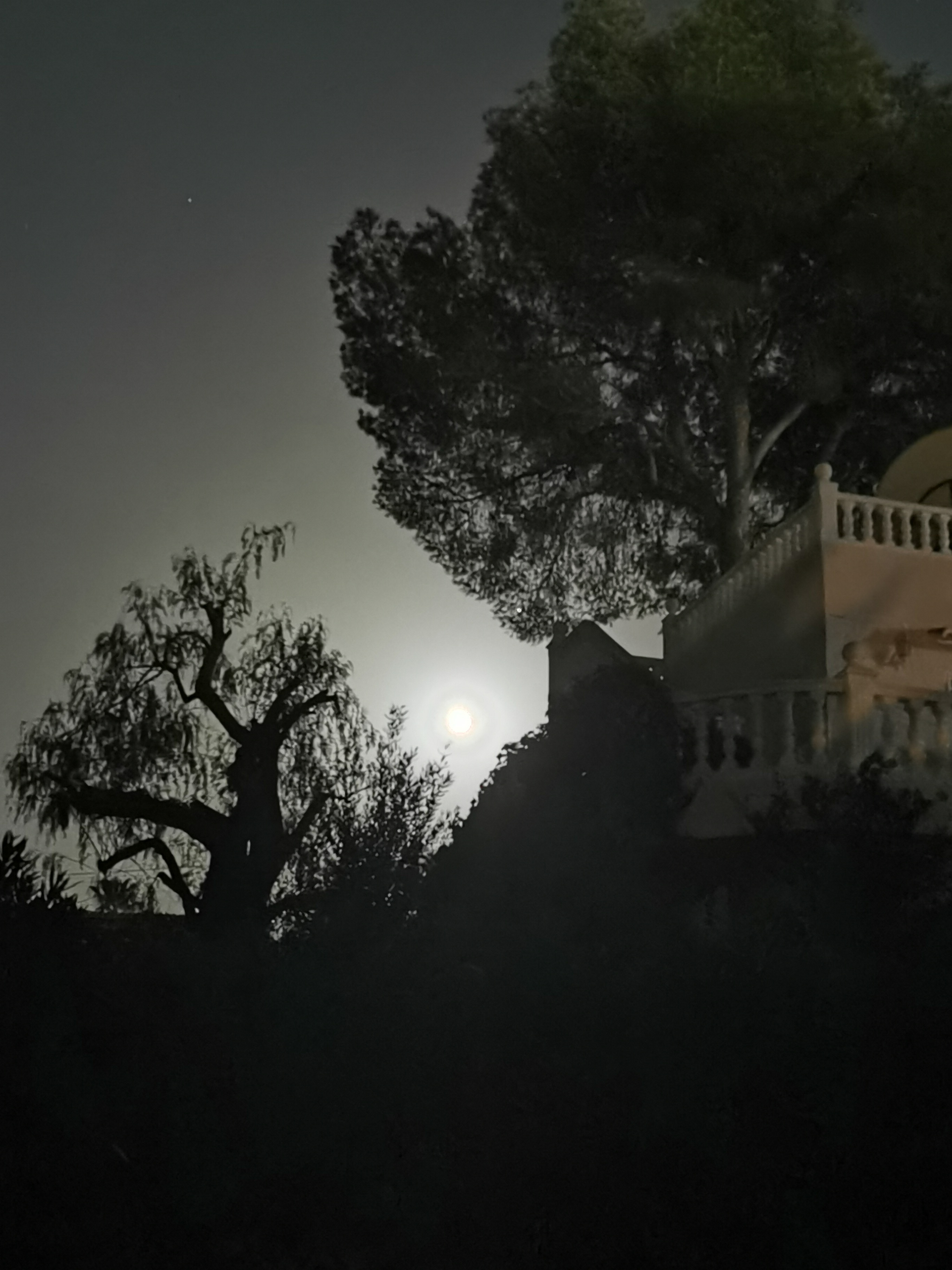 Vollmond
