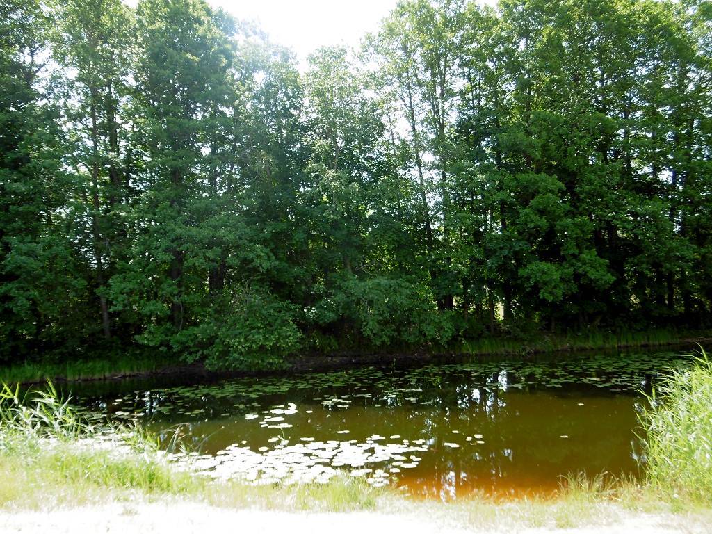 Mittagspause am kleinen See