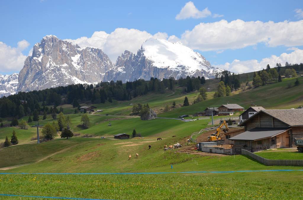 auf der Seiser Alm, auf 1825 m ü.M.