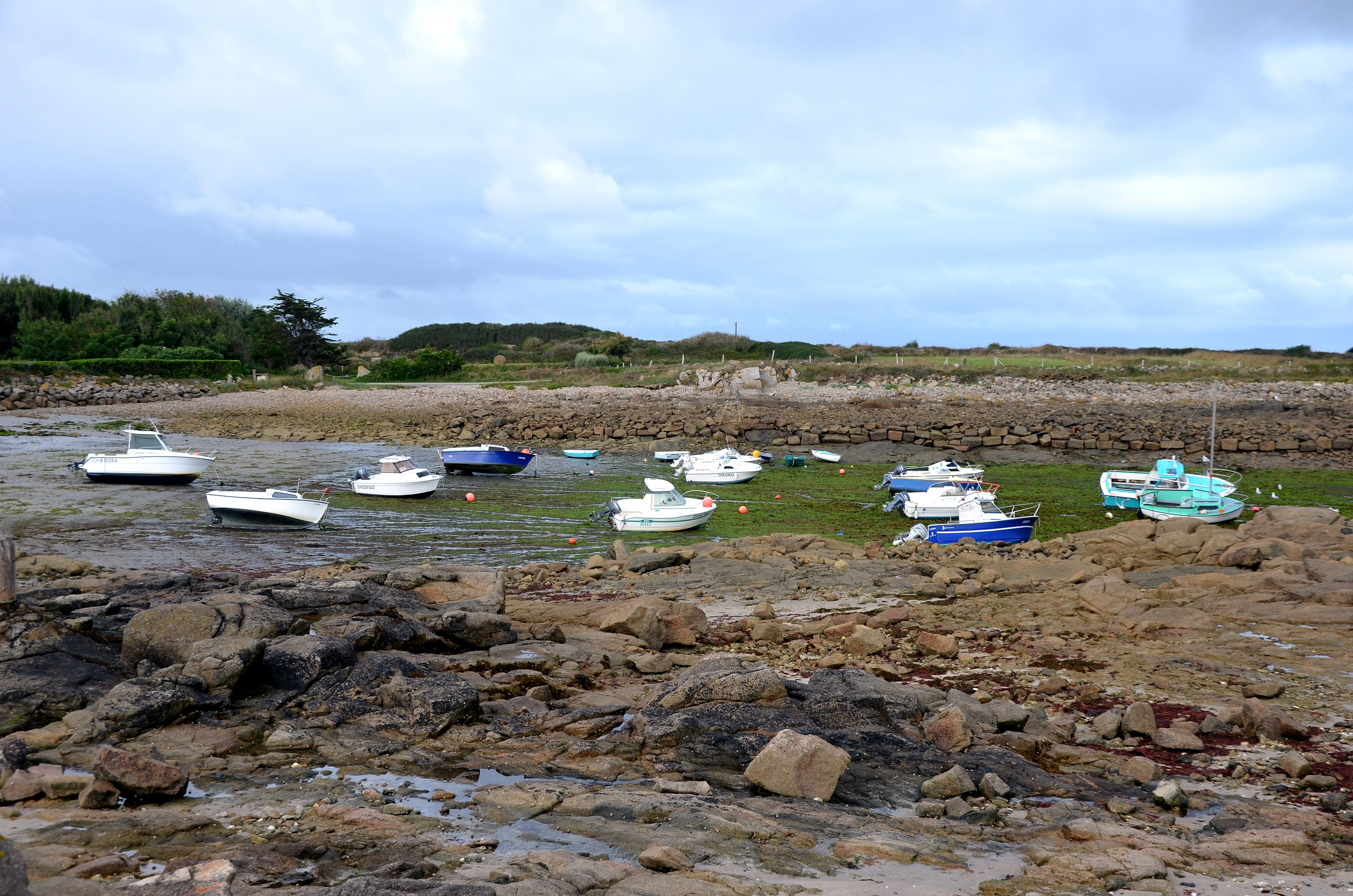 Ebbe