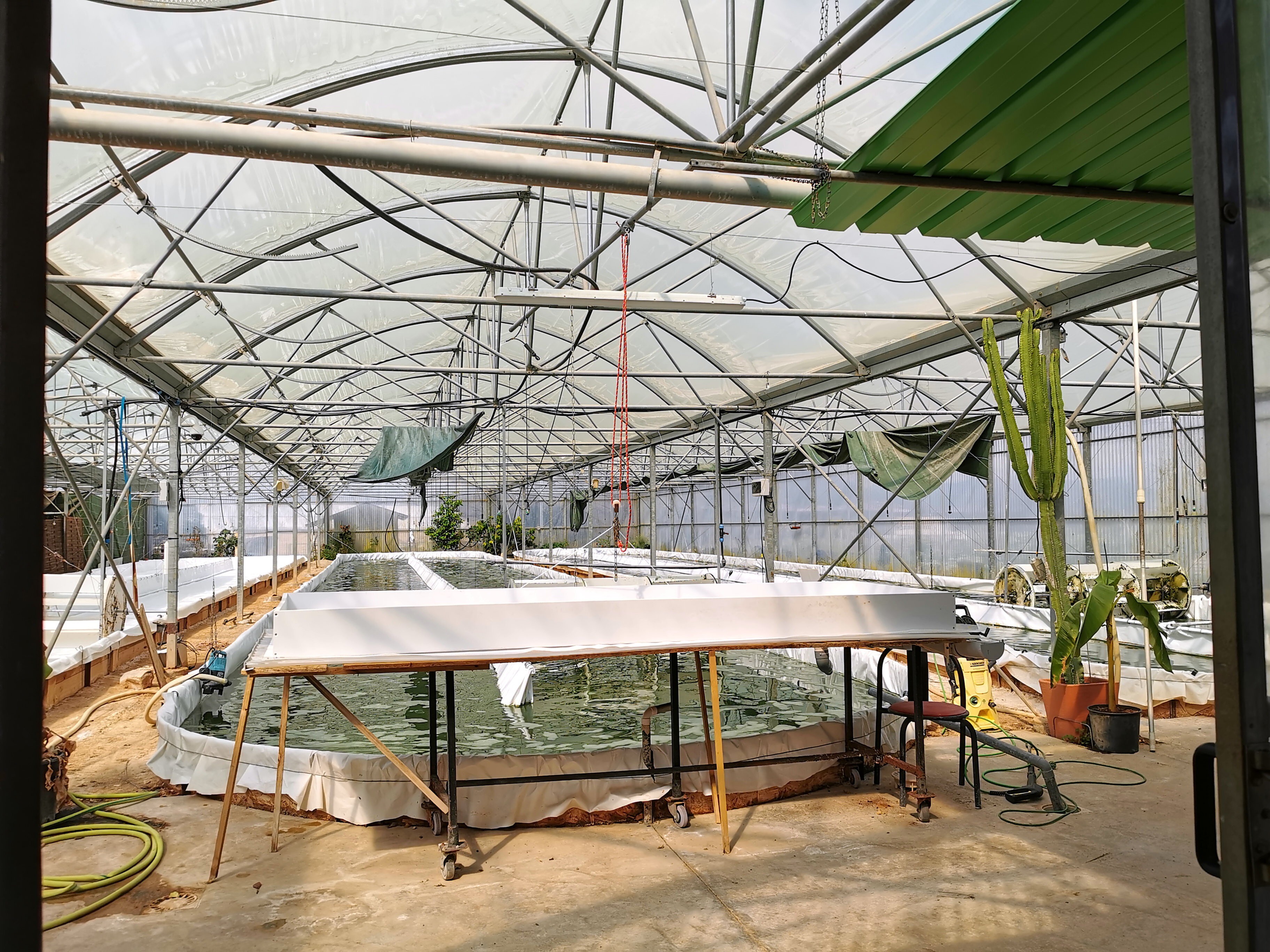 in dieser Halle wird Spirulina produziert