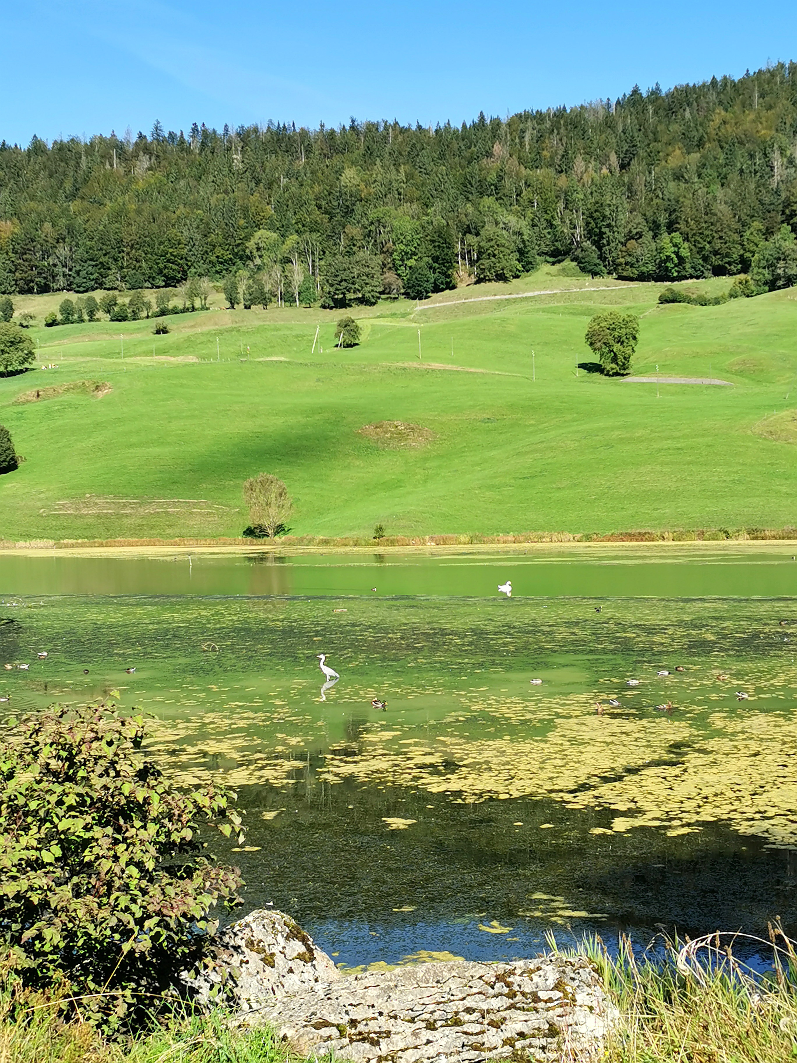 am Lac de Biaufond, (612m.ü.M)