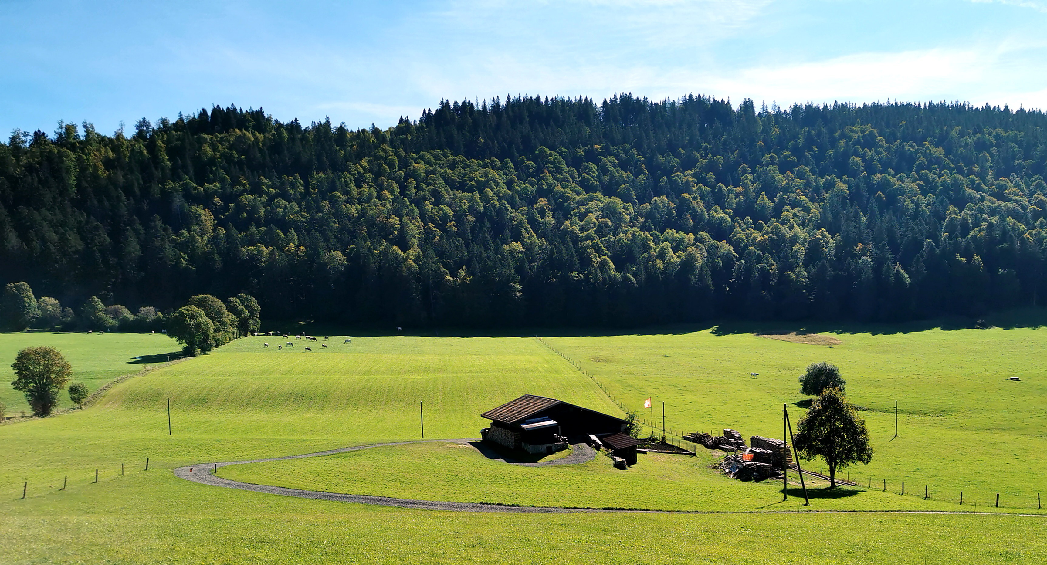wieder in der Schweiz
