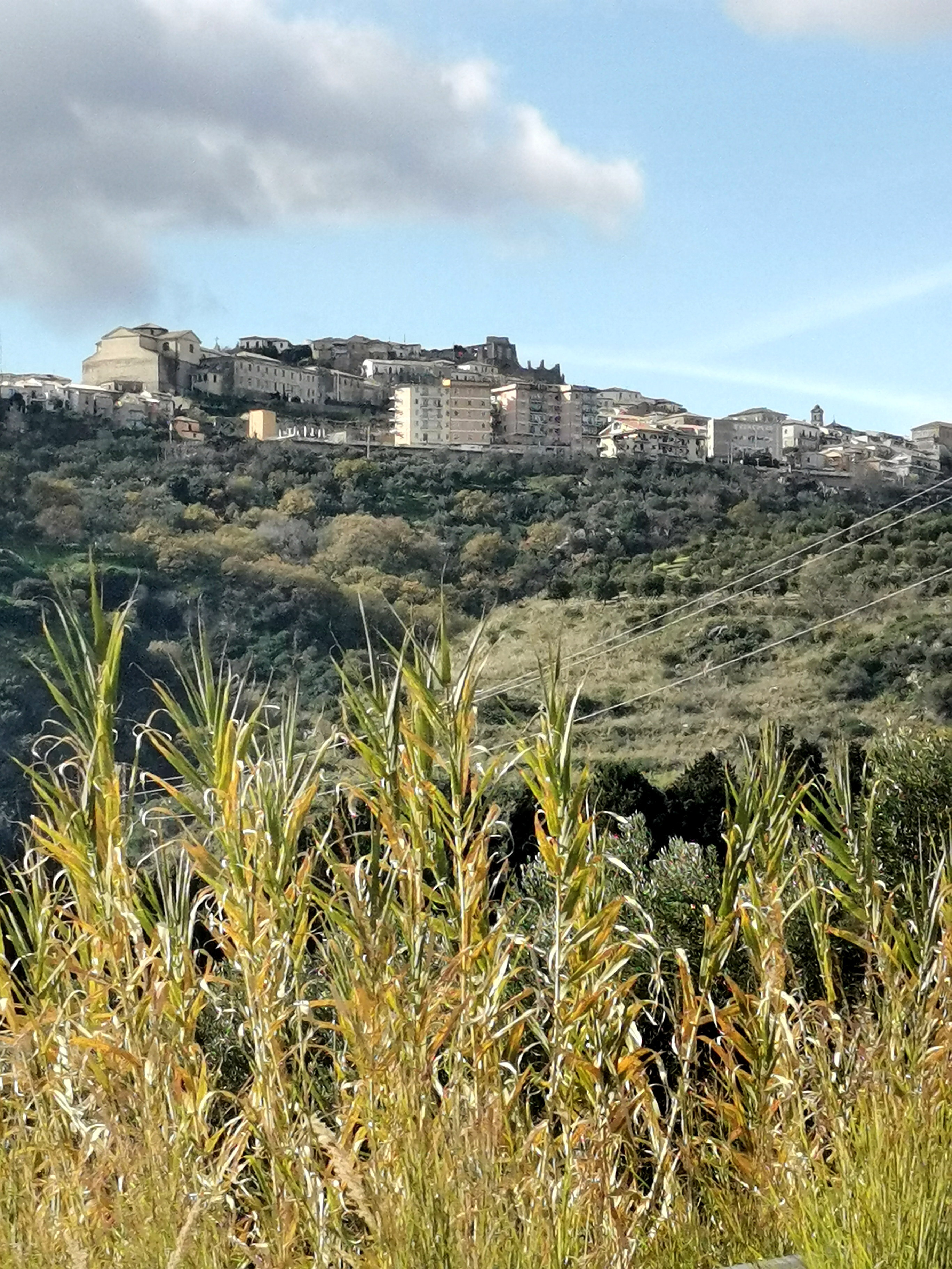 Squillace