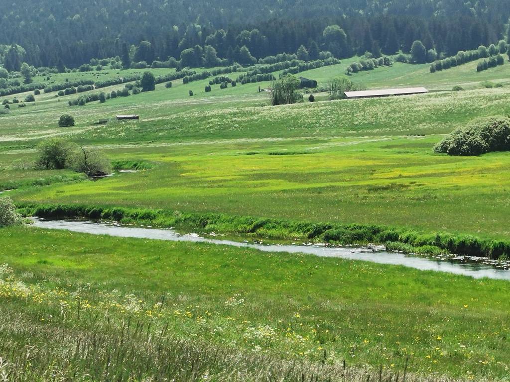 hier ist der Doubs noch ganz klein