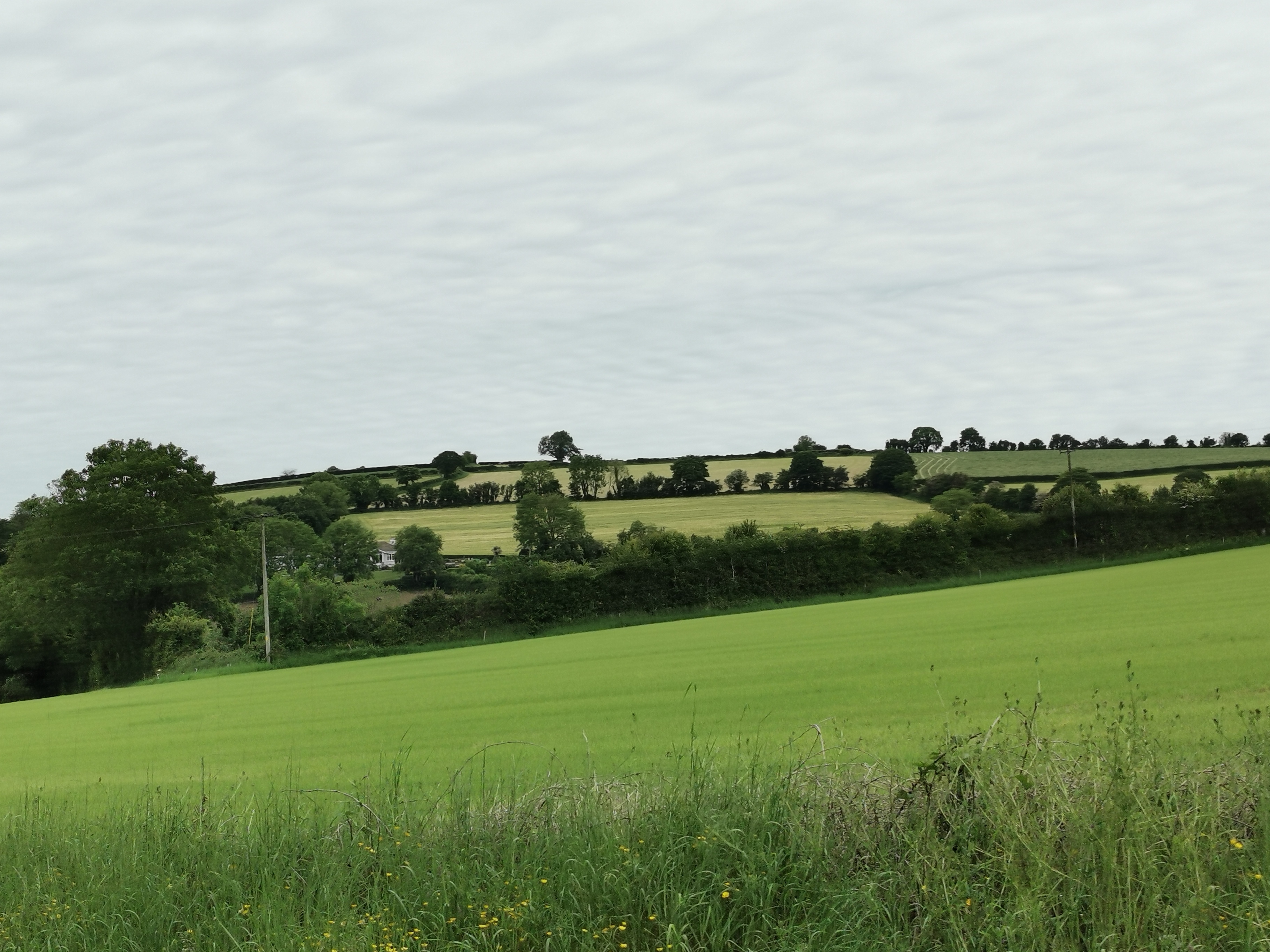 unterwegs nach New Ross 