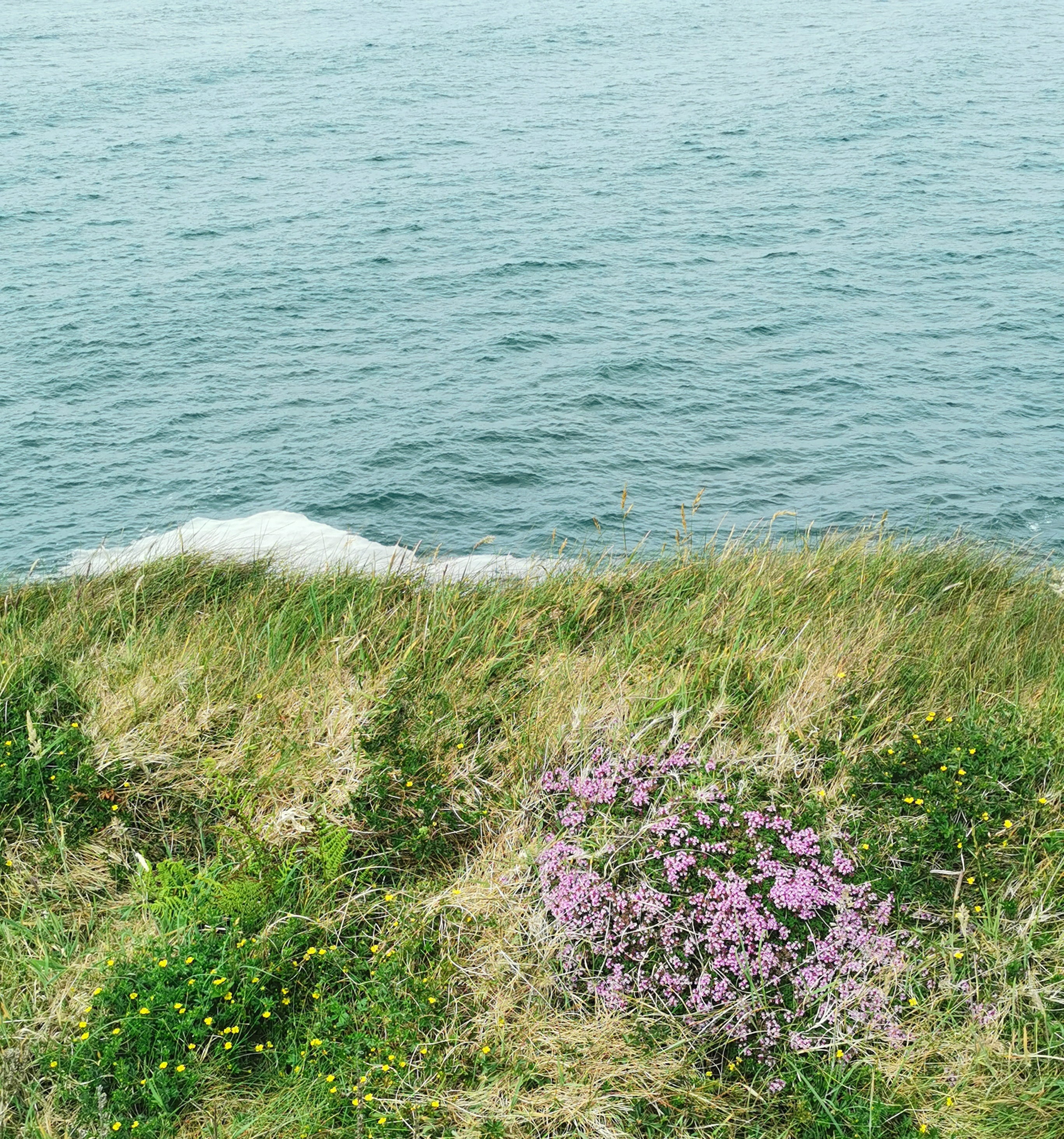 „Cliffs of Moher“