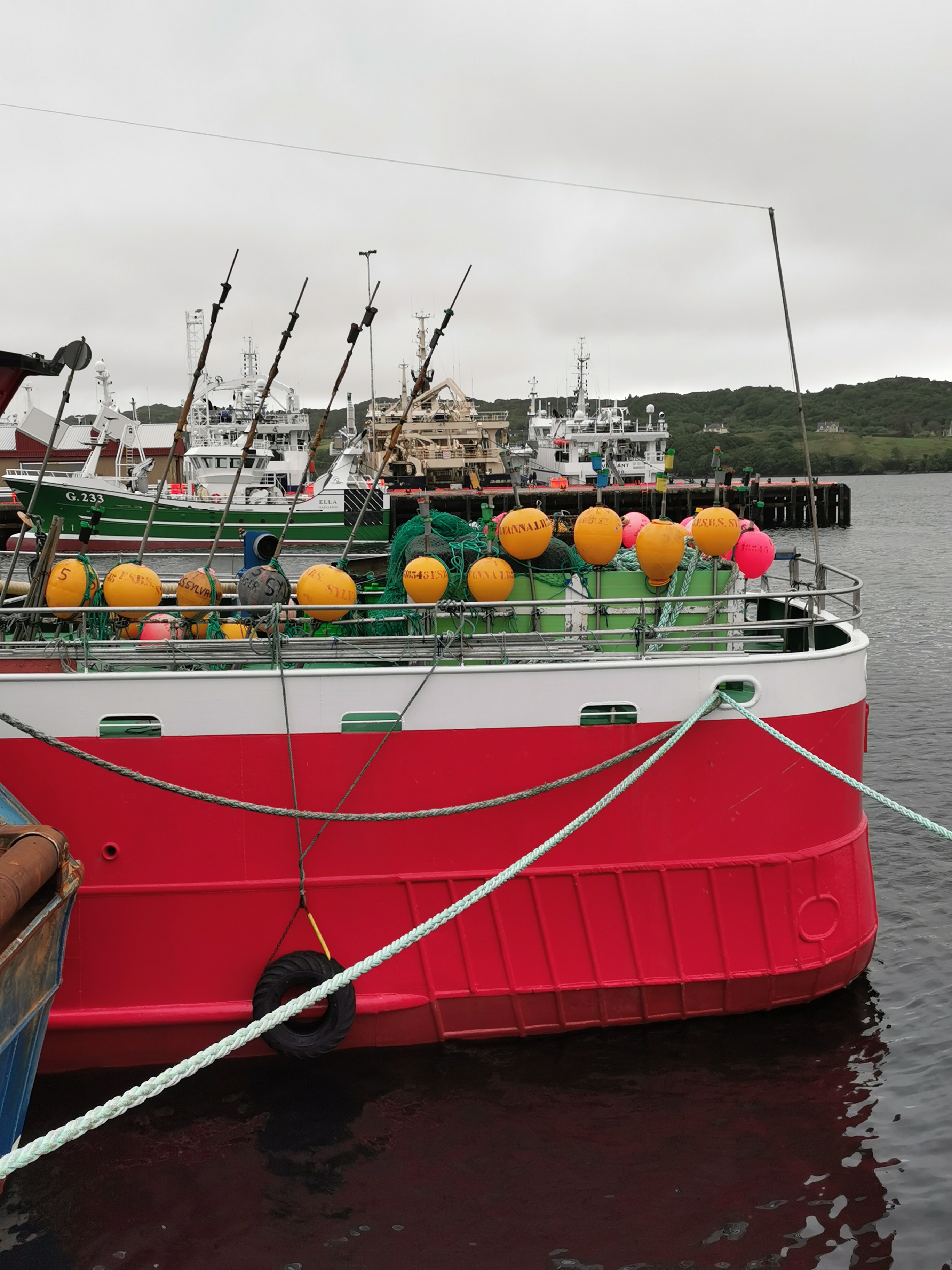 im Hafen von Killybegs