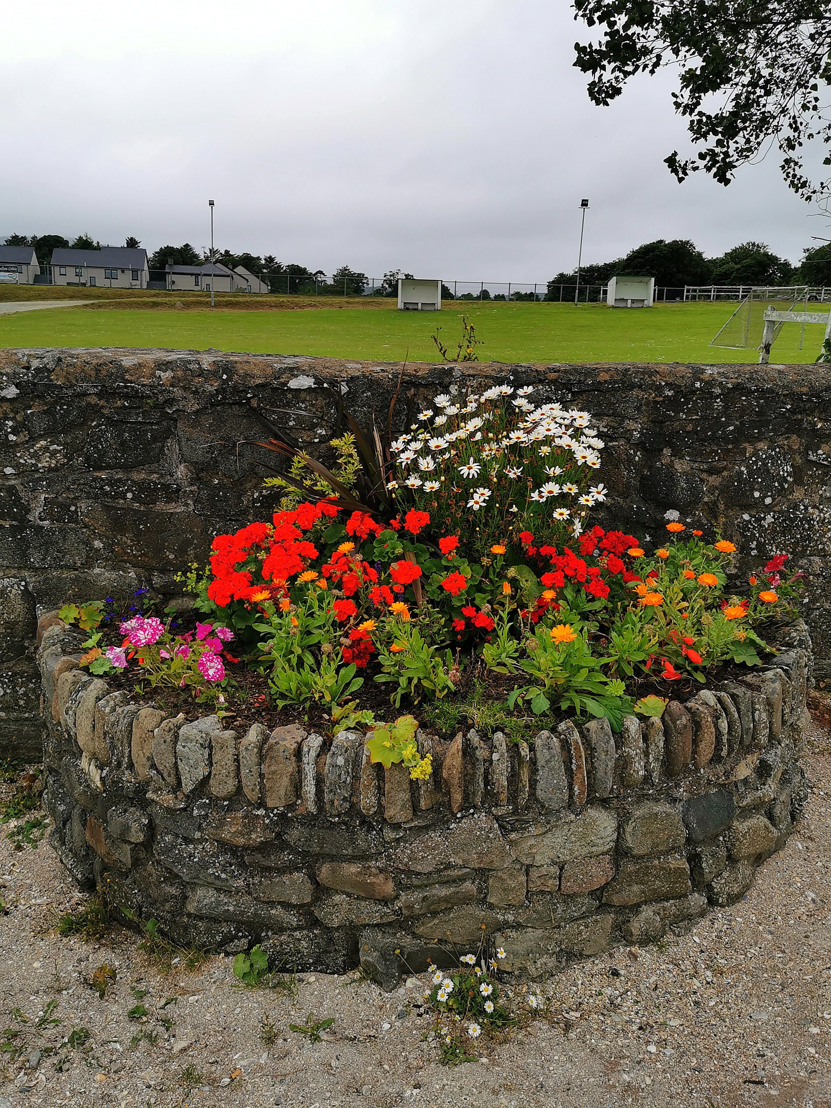 in Rathmullan