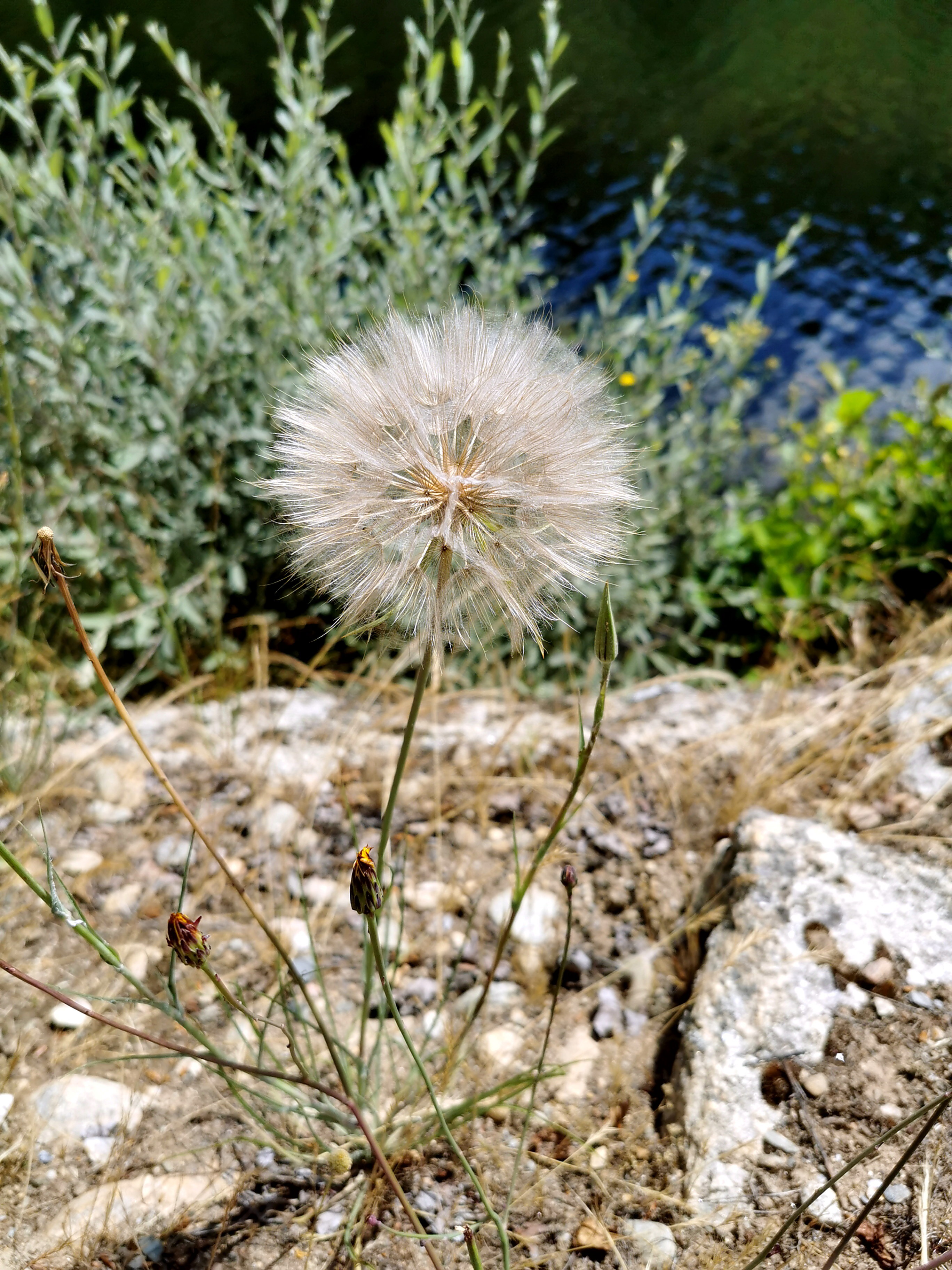 in Puebla de Sanabria