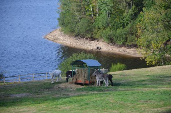 am Lac de Vassivière