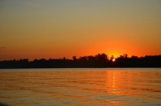 Sonnenaufgang im Donaudelta