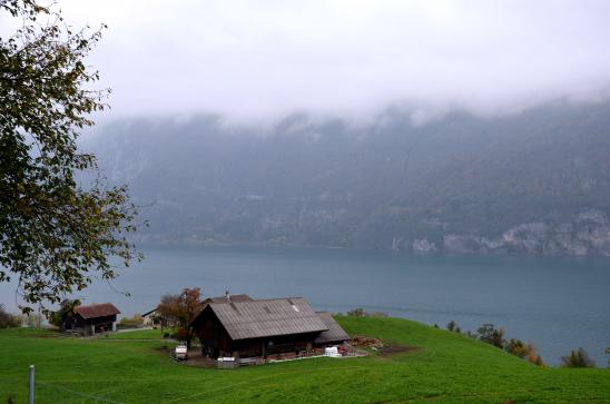 am Walensee