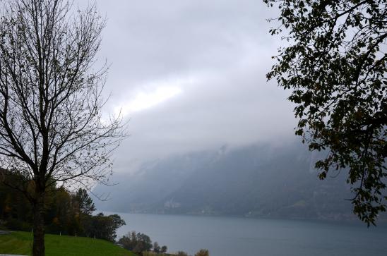 am Walensee