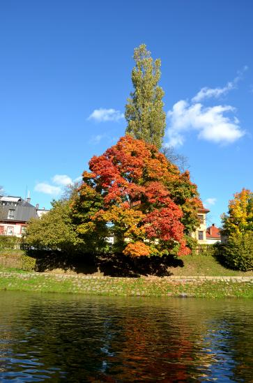 in Ljubljana