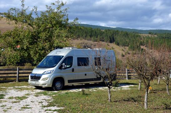 wir stehen in der Birnenplantage