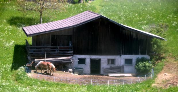 auf der Seiser Alm, auf 1825 m ü.M. 