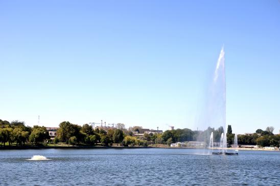in Tulcea