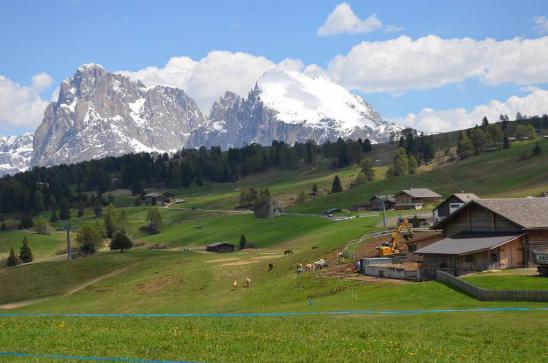 auf der Seiser Alm, auf 1825 m ü.M. 