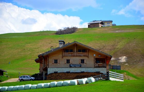 auf der Seiser Alm, auf 1825 m ü.M.