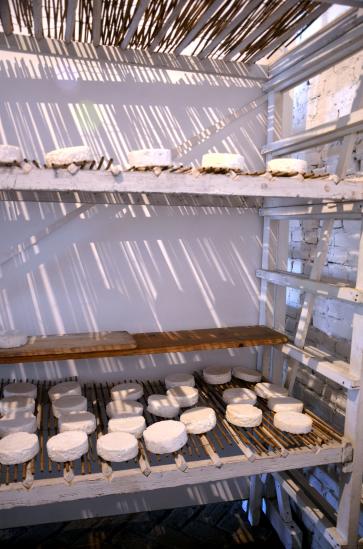 im Museum du Camembert