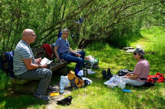 ah, endlich Picknick!