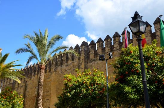 der Alcázar de los Reyes Cristianos