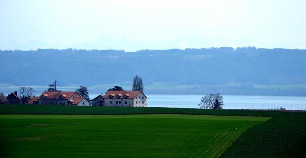 am Neuenburgersee