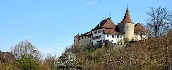 Schloss Erlach