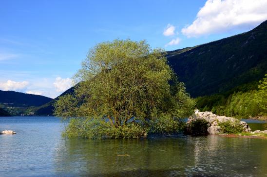 am Lago die Molveno