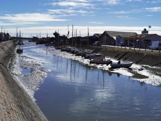 auf der Insel Noirmoutier.