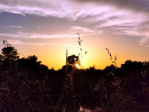 Abendstimmung an der Dordogne