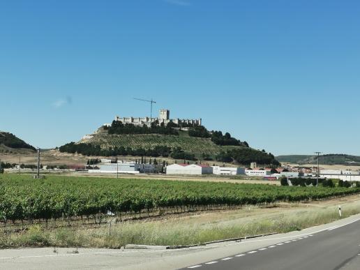 in Peñafiel