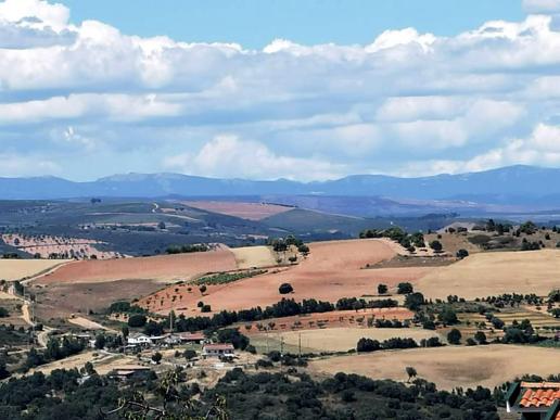 in Bragança