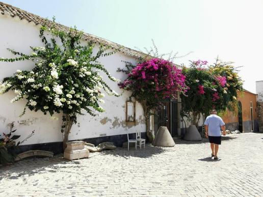 in Faro