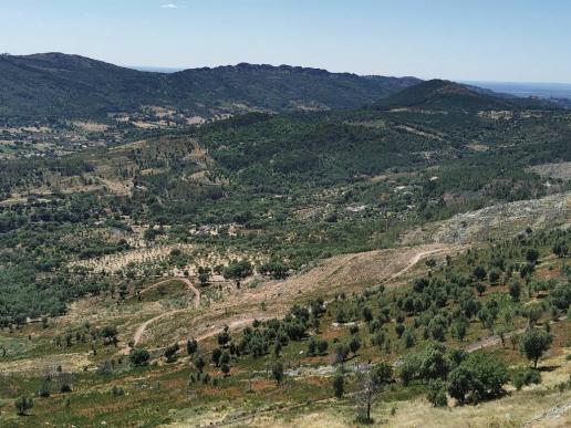 in Marvão