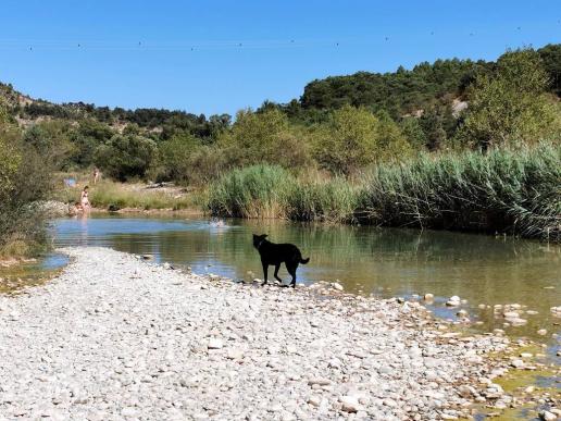 am Rio Guarga