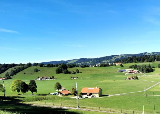 wieder in der Schweiz