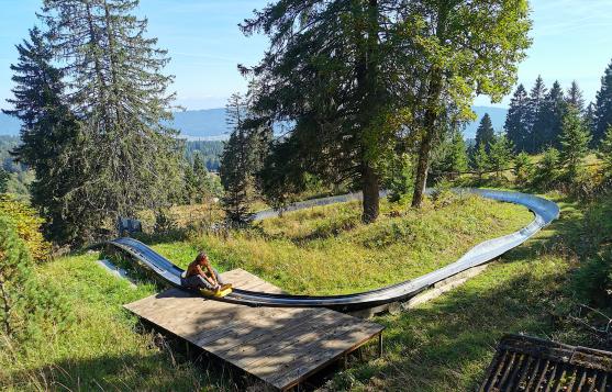 die Sommerrodelbahn