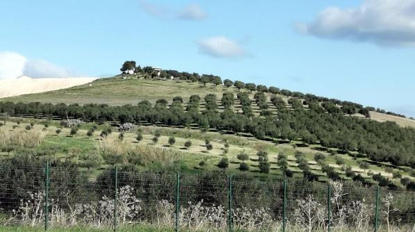 unterwegs nach Trapani