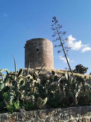 der „torre di terra„