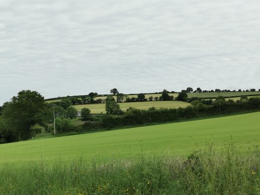 unterwegs nach New Ross