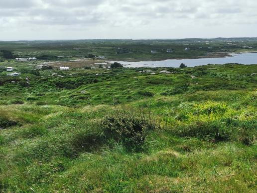 in der Torflandschaft bei Derrigimlagh