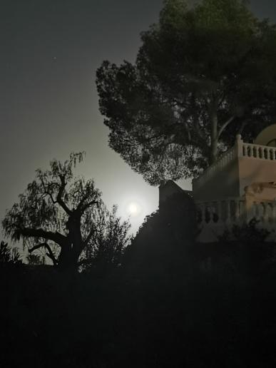 Vollmond