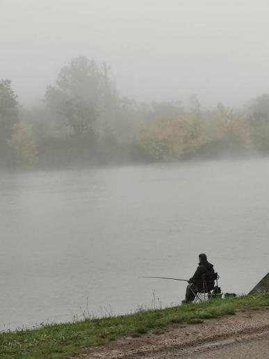Nebel über der Saône