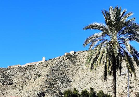 Blick zur Burg von Orihuela