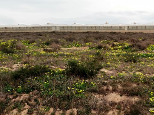 der Parque Natural de Cabo de Gata-Níjar 