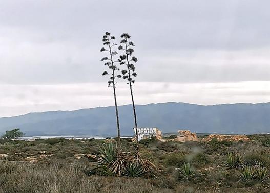 der Parque Natural de Cabo de Gata-Níjar