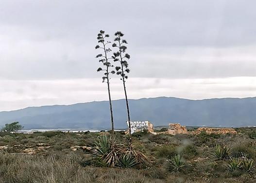 der Parque Natural de Cabo de Gata-Níjar 