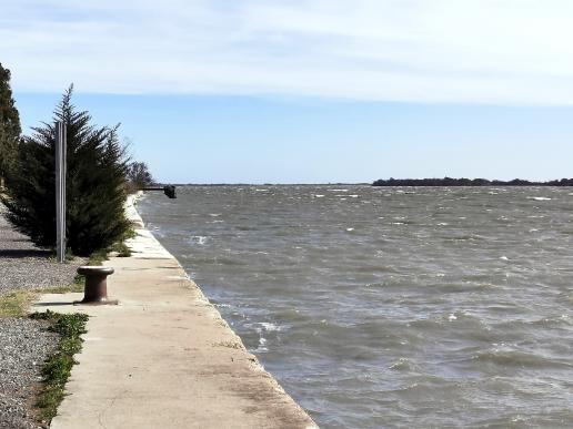 Die Rhône ist vom Wind sehr aufgewühlt